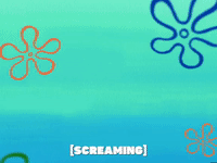season 5 GIF by SpongeBob SquarePants