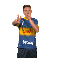 evertonvina everton ruleteros oro y cielo efore Sticker