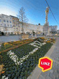 Logo Wow GIF by Linz News