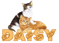daisy Sticker