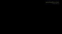 Animated Animals Cartoon Transitions