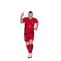 World Cup Football Sticker by Panini America
