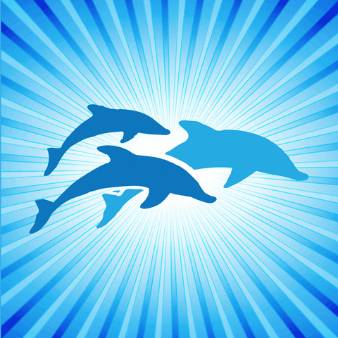 Dolphinlife GIF by Dogwood Elementary School