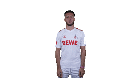 1 Fc Cologne Football Sticker by 1. FC Köln