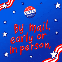 Vote Early 2020 Election GIF by INTO ACTION