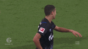 Football Soccer GIF by FC Schalke 04
