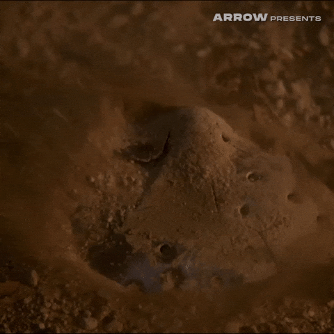 Friday The 13Th Film GIF by Arrow Video
