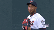 major league baseball sport GIF by MLB