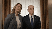 madam secretary elizabeth GIF by CBS