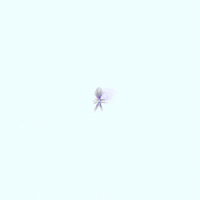 Azerbaycangiqaaddımlayır GIF by Azercell