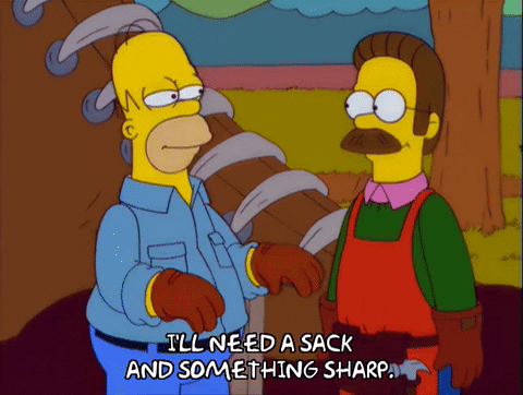 homer simpson GIF