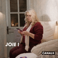 Joie Irl GIF by CANAL+