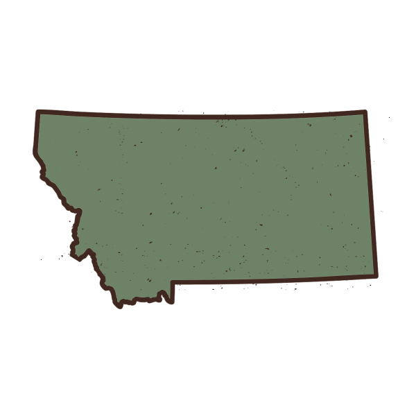 Travel Hello Sticker by Visit Montana