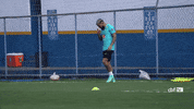 Selecao GIF by Confederação Brasileira de Futebol