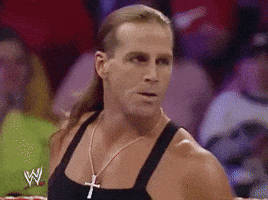 shawn michaels wrestling GIF by WWE