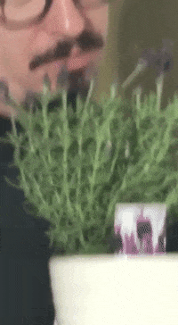 GIF by WebTalk