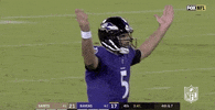 2018 Nfl Football GIF by NFL