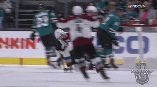 celebrate ice hockey GIF by NHL