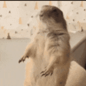 Oh Come On Let It Go GIF