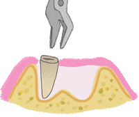 Dentist Odonto Sticker