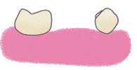 Dentist Odonto Sticker