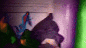 Band Philadelphia GIF by Topshelf Records