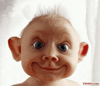 Funny GIF
