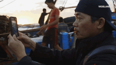 GIF by Dead Set on Life