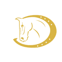 ridersdeal emoji deal rider pferd Sticker
