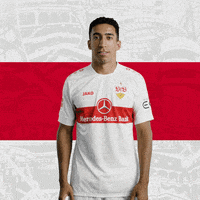 Football Love GIF by VfB Stuttgart