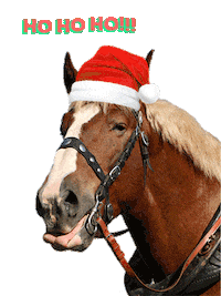 Merry Christmas Sticker by Feldschlösschen
