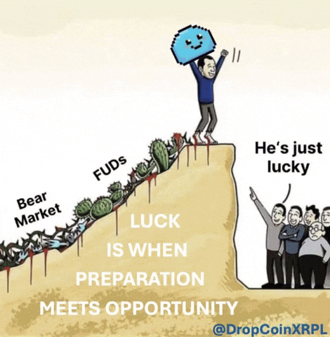 Memecoin Xrp GIF by $DROP