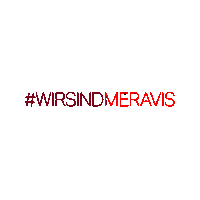 meravis team job karriere meravis Sticker