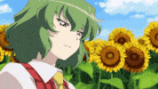 Sunflower Yuuka Kazami GIF