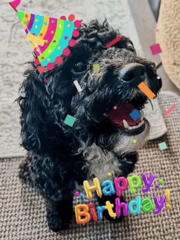 Celebrate Happy Birthday GIF