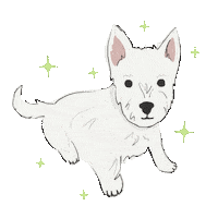 Puppy Westie Sticker