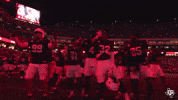 Kyle Field Football GIF by Texas A&M Athletics