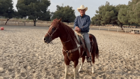 ericpierce0208 giphygifmaker GIF