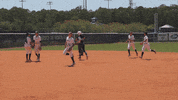 GIF by Jacksonville University