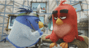sony pictures trailer GIF by Angry Birds