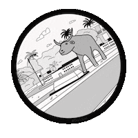 Guam Carabao Sticker