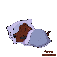 Tired Sleeping Dogs Sticker by VeeFriends