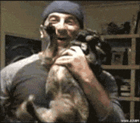 animals being dicks GIF