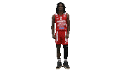 Basketball Hoops Sticker by Basket_fi