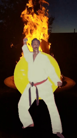 Brooklyn Dojo Master