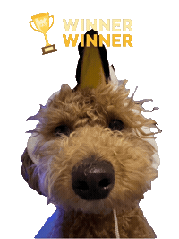 Winner Winner Chicken Dinner Sticker