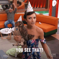 big brother pop GIF by Big Brother After Dark