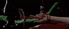 sexy trailer GIF