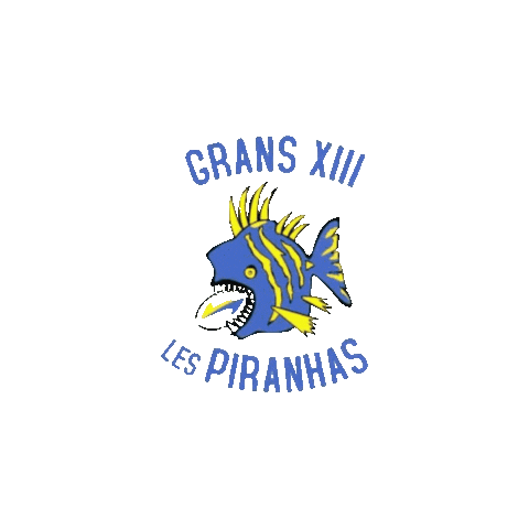GransXIII giphyupload grans 13 grans xiii rugby grans Sticker