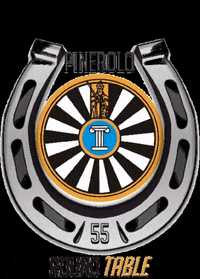 Gestore_Materiali_Nazionale rt55 round table pinerolo roundtablepinerolo GIF